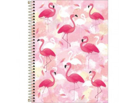 CADERNO CAPA DURA 01 MATÉRIAS ALOHA 80 FOLHAS