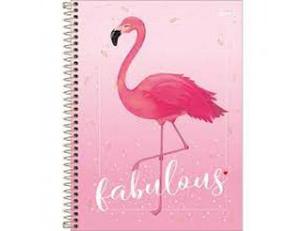 CADERNO CAPA DURA 10 MATÉRIAS ALOHA 160 FOLHAS