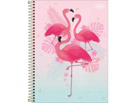 CADERNO CAPA DURA 01 MATÉRIAS ALOHA 80 FOLHAS