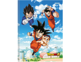 CADERNO BROCHURA PEQUENO SÃO DOMINGOS DRAGON BALL 80 FOLHAS
