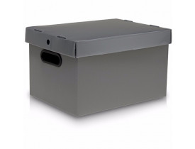 Caixa Organizadora Extra Grande 560x365x300 Cinza