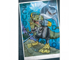 CADERNO TILIBRA BROCHURINHA PEQUENO 80 FOLHAS RAPTOR
