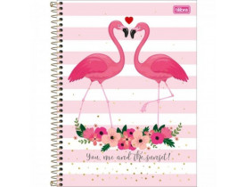 Caderno Tilibria Capa Dura 10 Matérias Aloha Flamingo