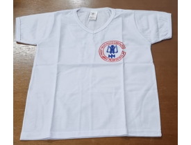 CAMISETA ESCOLAR PROFª HILDA HOLTZ CARVALHO TAM 08
