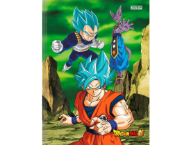 CADERNO BROCHURÃO GRANDE SÃO DOMINGOS DRAGON BALL 80 FOLHAS