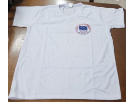 CAMISETA ESCOLAR E.M.E.F MASAJIRO OGAWA TAM 10