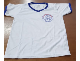 CAMISETA ESCOLAR SATURNINO DIAS DE GOES TAM 08