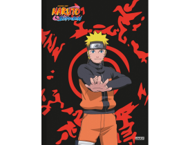 CADERNO BROCHURA PEQUENO SÃO DOMINGOS NARUTO 80 FOLHAS