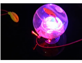 Bola emborrachada transparente com led Sensorial