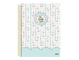 CADERNO SÃO DOMINGOS 10 MATERIAS 200 FOLHAS SWEET CARE