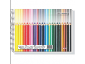 CADERNO DESENHO CAPA MOLE 80 FOLHAS TAMOIO