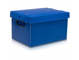 Caixa Organizadora Extra Grande 560x365x300 