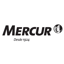 Mercur