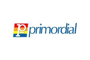 Primordial